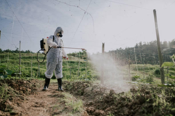 Best Pest Prevention Services  in Burns, TN