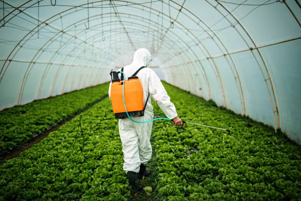 Pest Control Cost in Burns, TN
