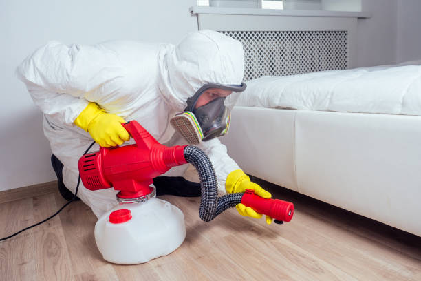 Flea Control Services in Burns, TN