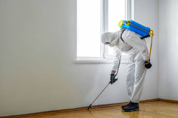 Best Mosquito Control Services  in Burns, TN