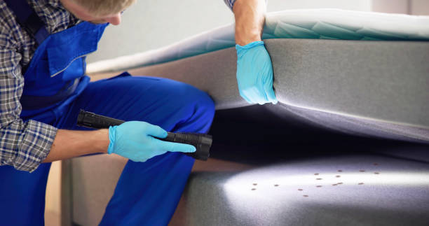 Best Affordable Pest Control Services  in Burns, TN