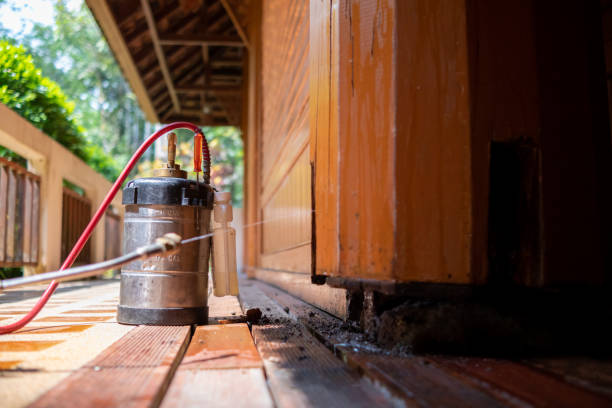 Best Wasp Removal Services  in Burns, TN