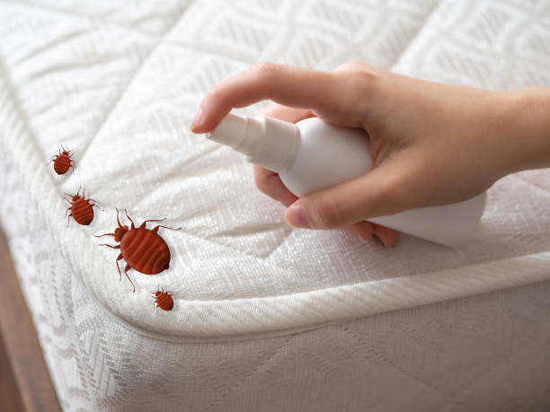 Best Local Pest Control Services  in Burns, TN