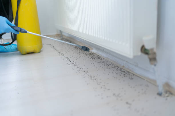 Best Flea Control Services  in Burns, TN