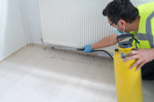 Best Cockroach Control Services  in Burns, TN