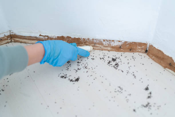 Trusted Burns, TN Pest Control Experts