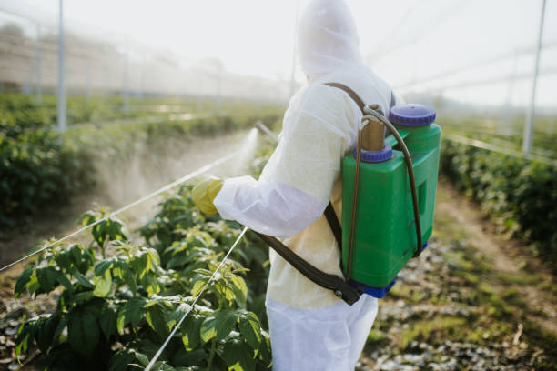 Best Emergency Pest Control  in Burns, TN